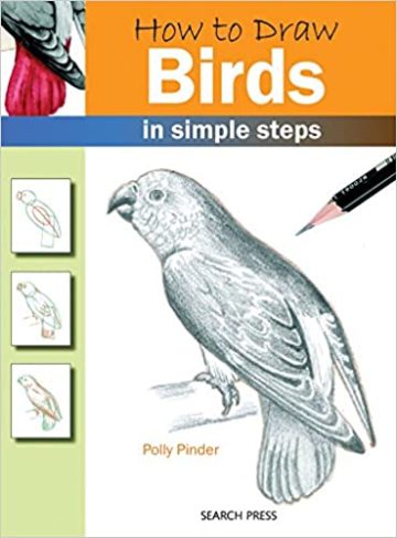 how to draw bird for kids