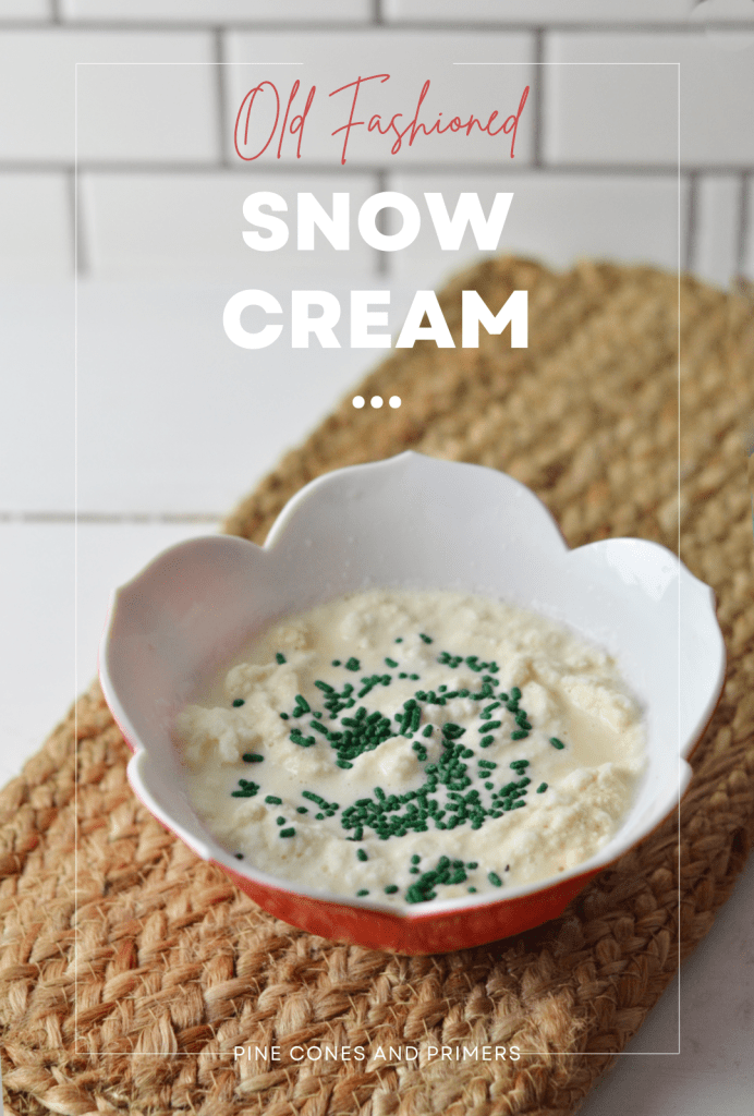 Old Fashioned Snow Cream - Pine Cones and Primers
